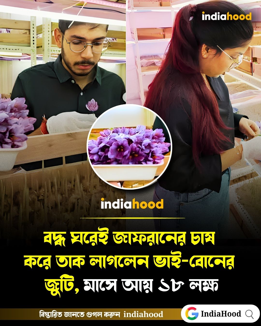বদ্ধ ঘরেই কেশর চাষে বাজিমাত! লুধিয়ানার ভাই-বোনের মাসে আয় ১৮ লাখ টাকা
